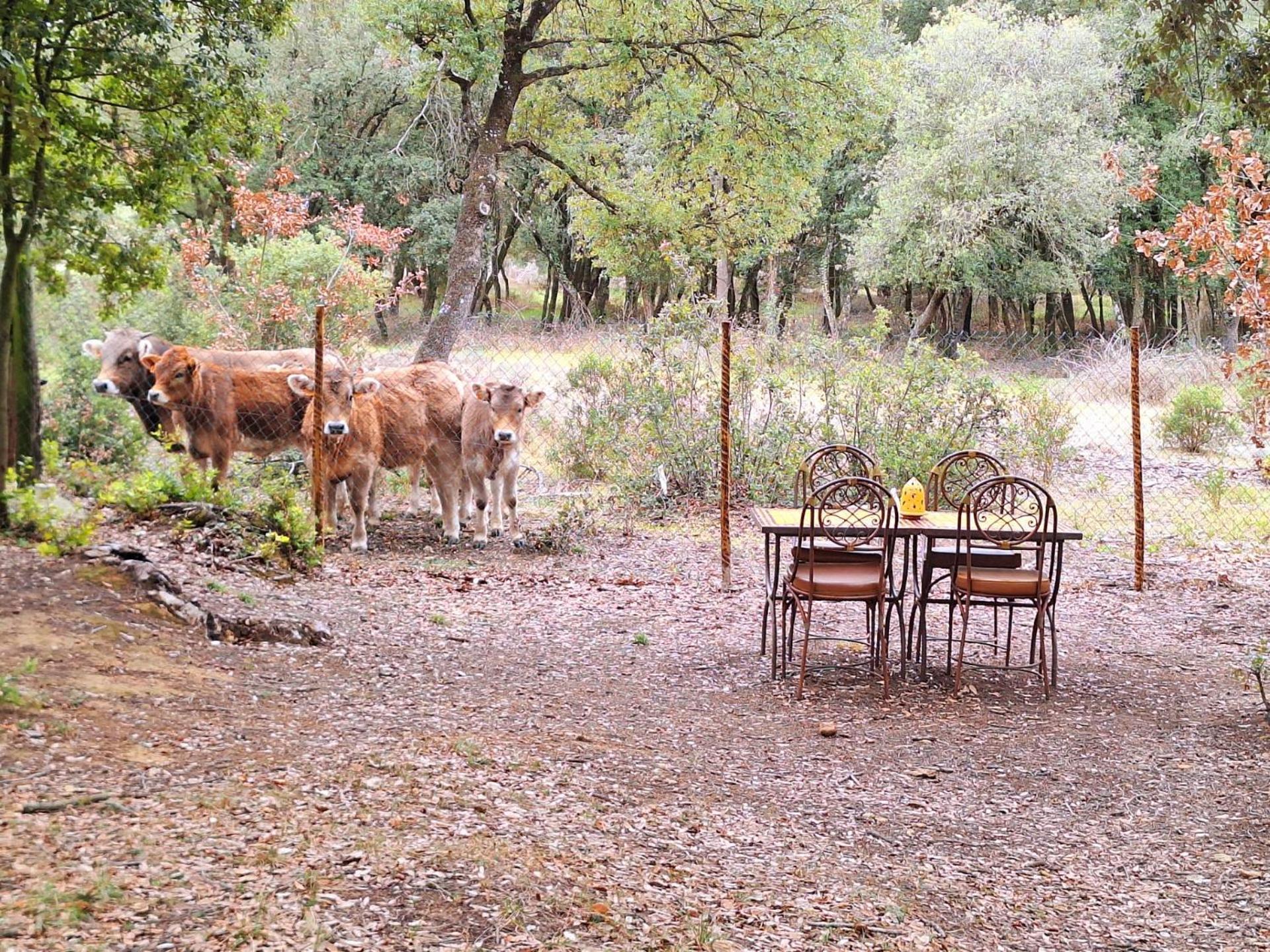 Casa Natura Montseny Barcelone Extérieur photo